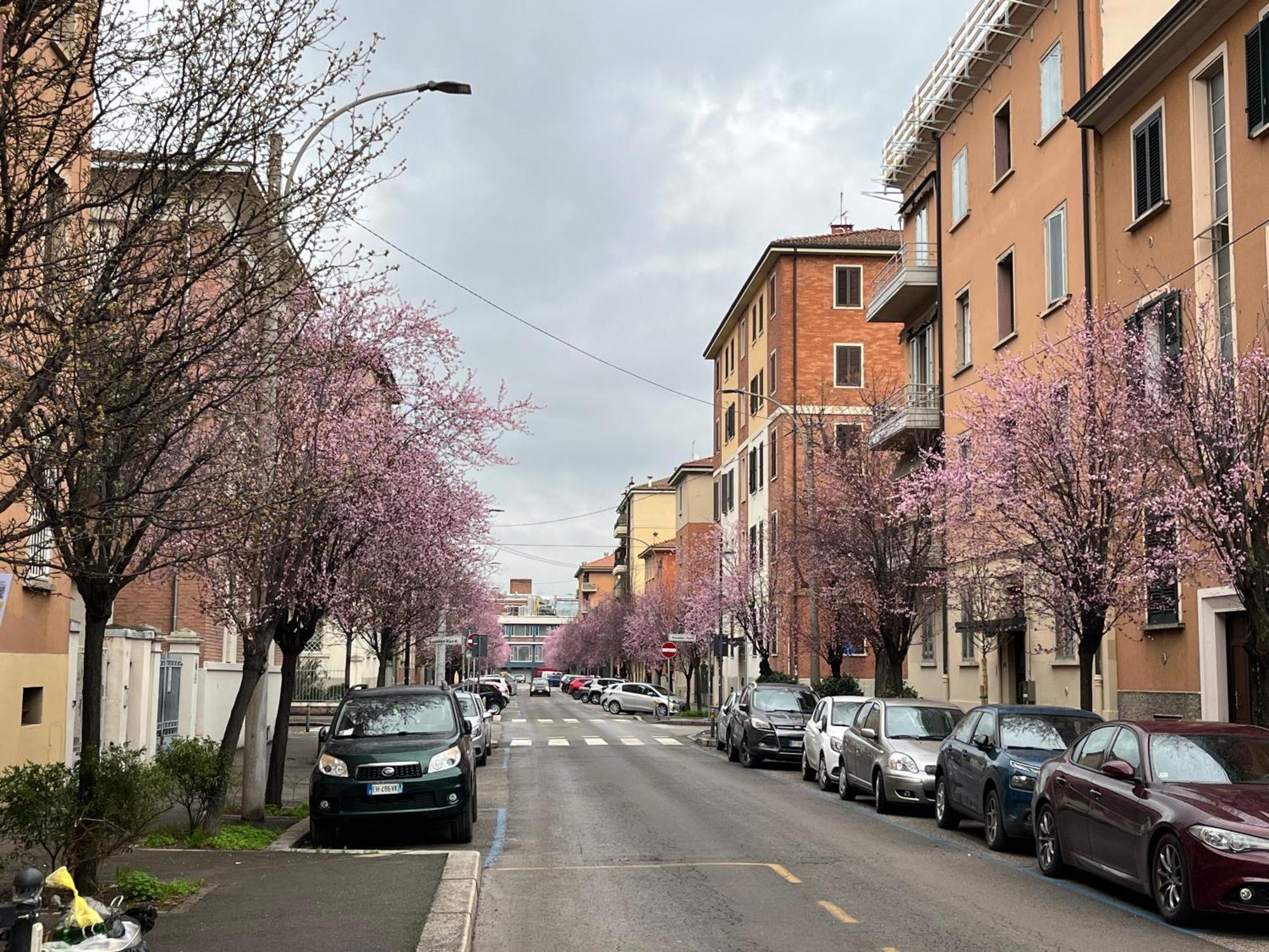 Casa Meli, Ampio Bilocale Nuovo Apartment Bologna Luaran gambar